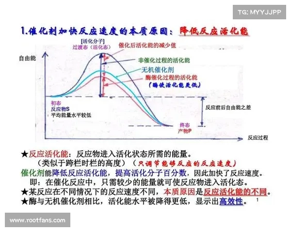 如何全面评估澳洲杯赛事水平及其影响因素分析 如何全面评估澳洲杯赛事水平及其影响因素分析